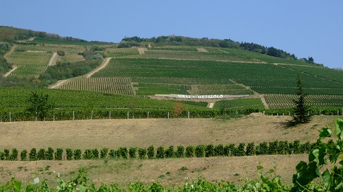 Lire la suite à propos de l’article Domaine Hétszolo | Le fleuron du tokaji