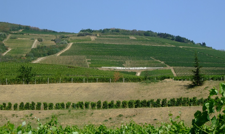 Domaine Hétszolo Tokaj