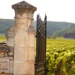 Le domaine Jacques Prieur, rare collection de terroirs bourguignons