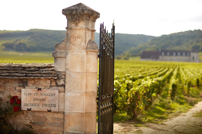 Domaine Jacques Prieur Bourgogne vin 1