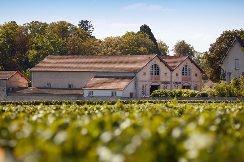 Domaine Jacques Prieur Bourgogne vin 8