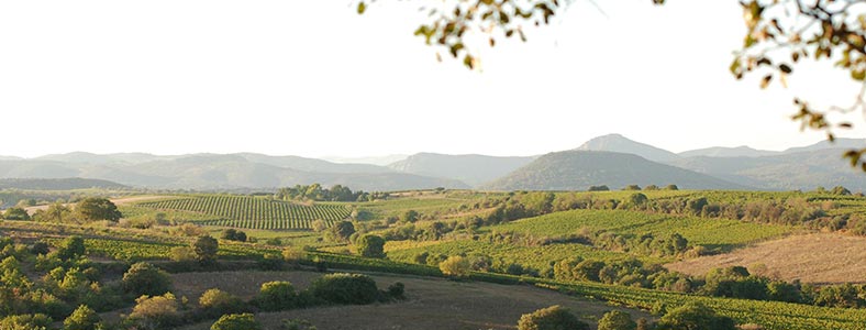 Domaine des Aurelles