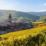 Albert Boxler : « Partout où il y a du travail il y a de grands vins »