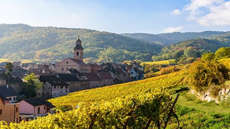 Lire la suite à propos de l’article Albert Boxler : « Partout où il y a du travail il y a de grands vins »