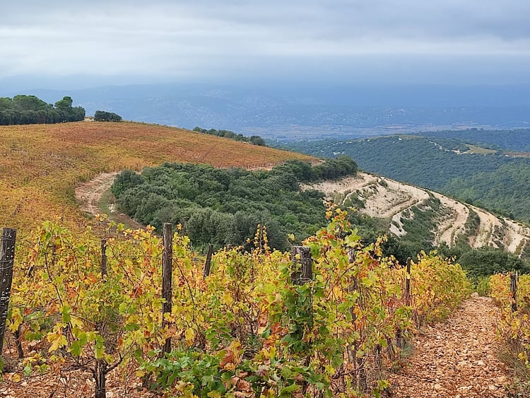 Voyage en Languedoc, jour 2 Montcalmès, Mas Jullien, Coston et Terrasse d'Élise 9