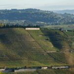 Paul Jaboulet Aîné en Rhône Nord | Patrimoine d’une œnologue talentueuse