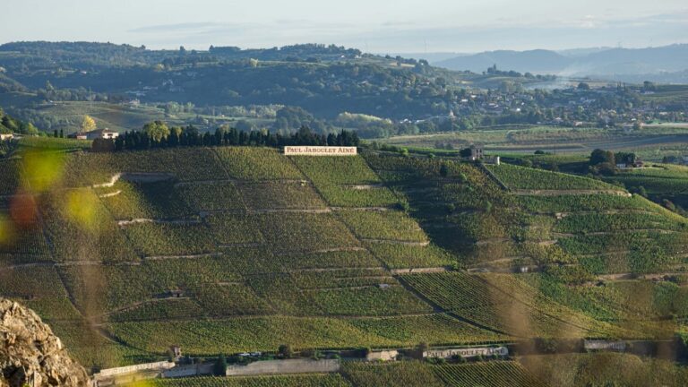 Lire la suite à propos de l’article Paul Jaboulet Aîné en Rhône Nord | Patrimoine d’une œnologue talentueuse