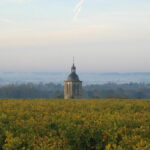 Domaine Huet, la parfaite harmonie entre tradition et biodynamie