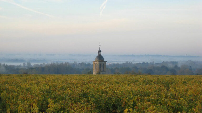 Lire la suite à propos de l’article Domaine Huet, la parfaite harmonie entre tradition et biodynamie