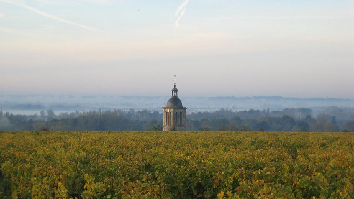 Lire la suite à propos de l’article Domaine Huet, la parfaite harmonie entre tradition et biodynamie