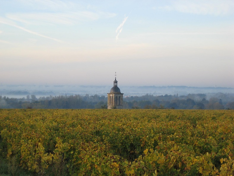 domaine Huet iDealwine vin chenin loire