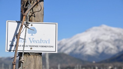 Lire la suite à propos de l’article Le Clos Venturi, cap sur les hauteurs corses