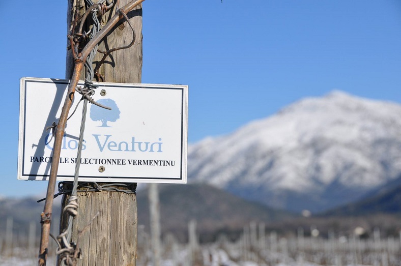 Clos Venturi