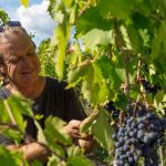 Bibi Graetz | Un maître des vins toscans