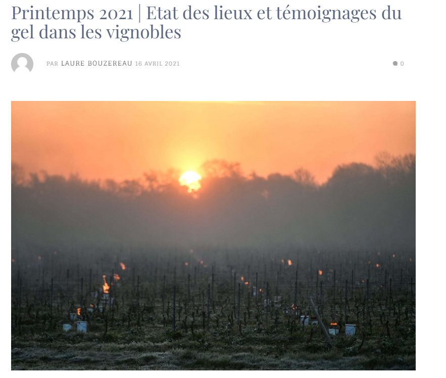 Palmarès : vos articles préférés en 2021 dans le Blog iDealwine Primeurs 2021