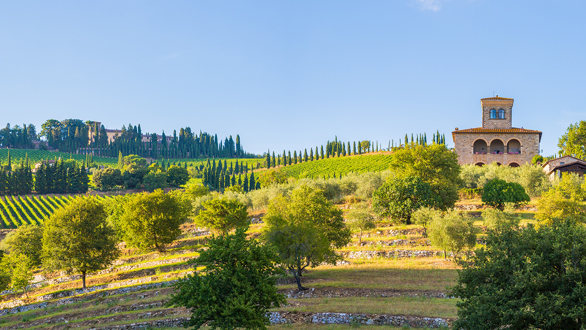 Lire la suite à propos de l’article Italie | Grands cépages et appellations prestigieuses