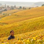 Cazé-Thibaut | Trésor de la Rive Droite champenoise