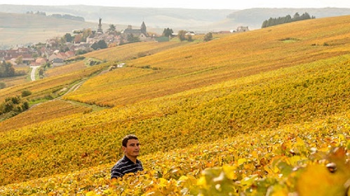 Lire la suite à propos de l’article Cazé-Thibaut | Trésor de la Rive Droite champenoise