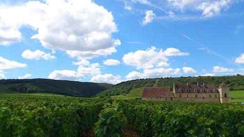 Lire la suite à propos de l’article De la Côte de Nuits à la Côte de Beaune, les vins bio et confidentiels de Chantal Lescure