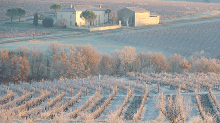 Lire la suite à propos de l’article Domaine Plageoles : la renaissance de l’appellation Gaillac