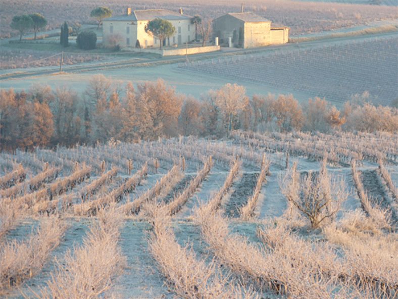 Domaine Plageoles Gaillac