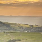 Le guide iDealwine des vins de Sancerre