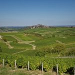 Disparition d’Edmond Vatan, vigneron d’exception à Sancerre