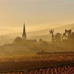 Bourgogne | La rareté des crus