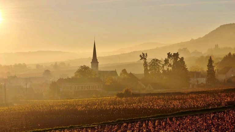 Lire la suite à propos de l’article Bourgogne | La rareté des crus