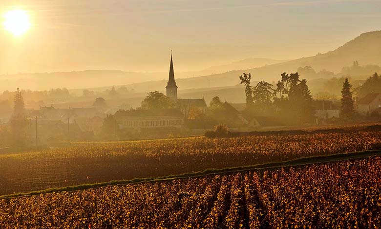 bourgogne cru rare