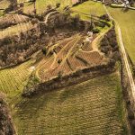 La Ferme des sept Lunes : des vins bio nature qui vous feront décoller !