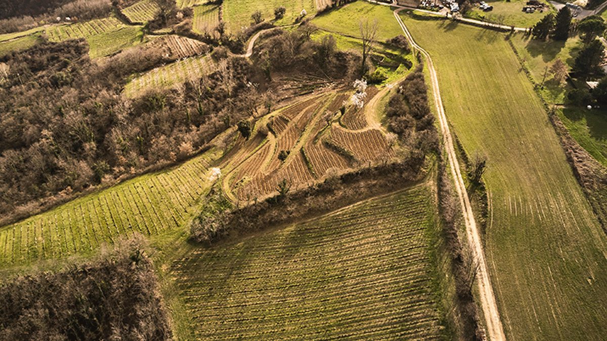 Lire la suite à propos de l’article La Ferme des sept Lunes : des vins bio nature qui vous feront décoller !