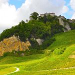 Croix & Courbet, deux amis bien décidés à sublimer les savagnins du Jura