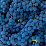 Sulfites | Des vins plus fruités avec une demi-dose ?