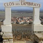 Clos de Tart et Clos des Lambrays : deux mythes voisins mais pourtant uniques