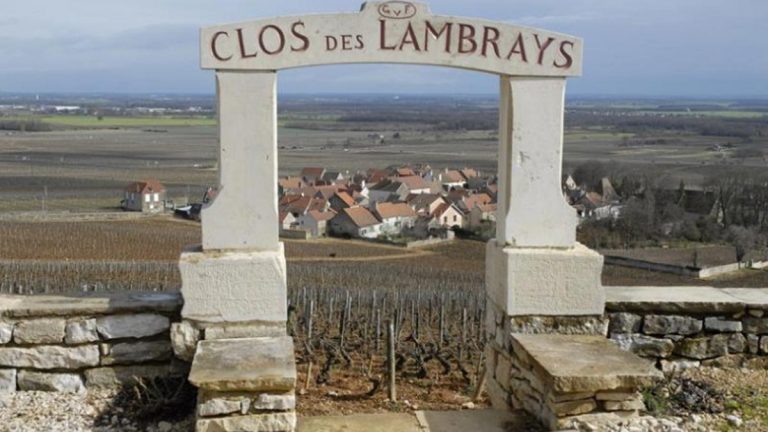 Lire la suite à propos de l’article Clos de Tart et Clos des Lambrays : deux mythes voisins mais pourtant uniques