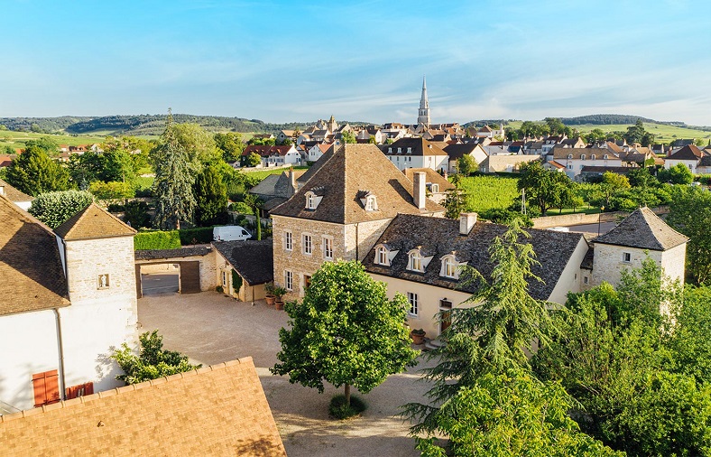 Domaine Vincent Bouzereau