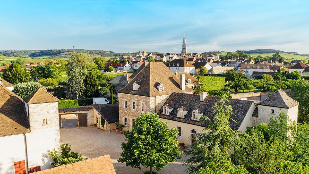 Lire la suite à propos de l’article Domaine Vincent Bouzereau | Le cœur de Meursault