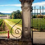 Guide de Meursault | La majesté du chardonnay