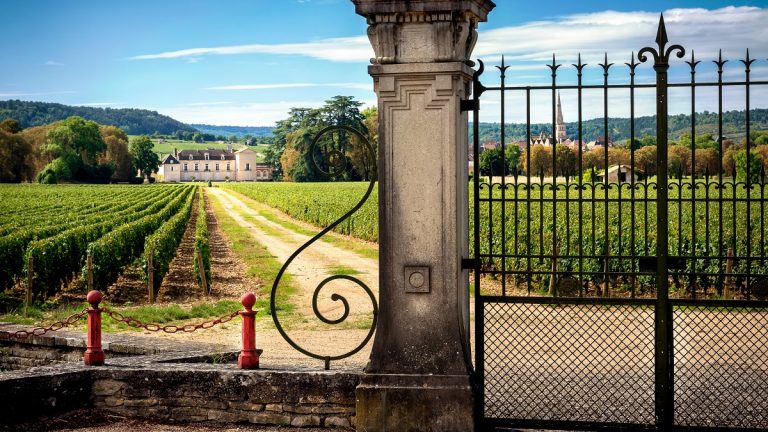 Lire la suite à propos de l’article Guide de Meursault | La majesté du chardonnay