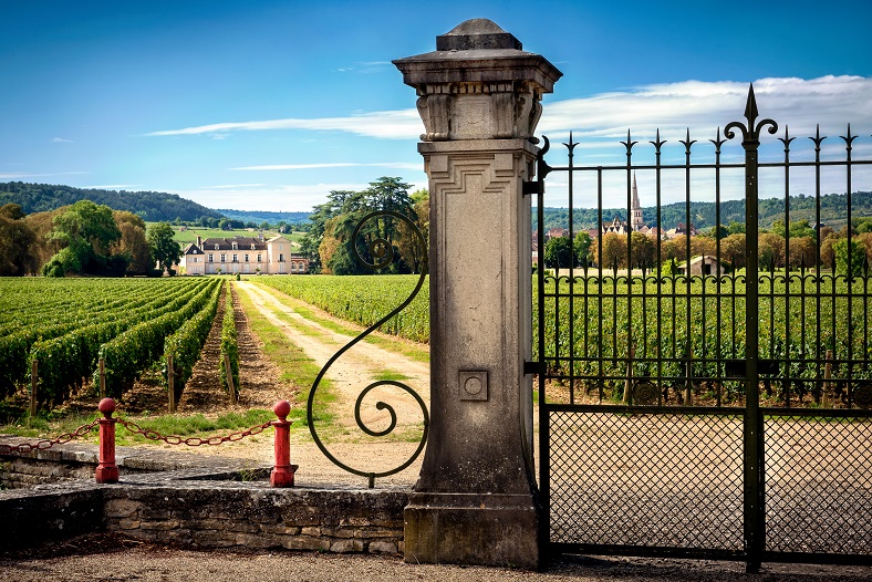 Château de Meursault 