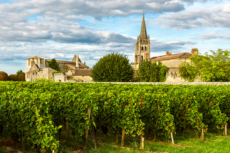 millésime bordeaux 2019