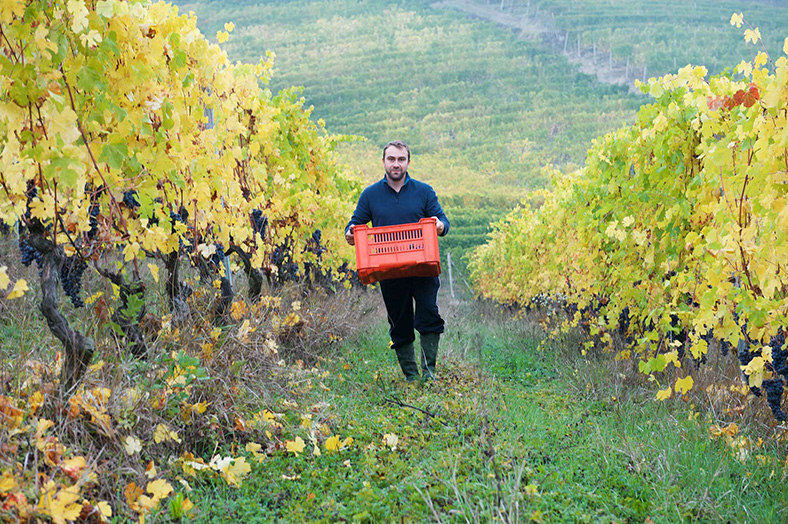luca roagna barbaresco