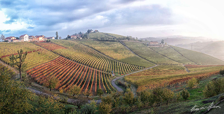 roagna barbaresco