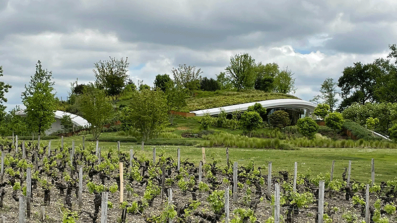 Primeurs 2021 les conditions climatiques du millésime 2021 à Bordeaux iDealwine