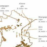 Ventes aux enchères de vin : quelle répartition régionale en 2021 ?