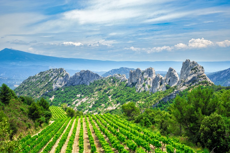 Vacqueyras et Gigondas, crus d’artisans en pleine ascension iDealwine