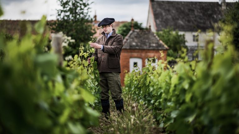 Lire la suite à propos de l’article Le domaine Heitz-Lochardet, histoire de famille entre Chassagne-Montrachet et Juliénas