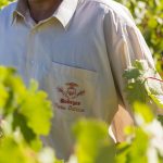 Vega Sicilia : au cœur de la Castille, le roi des vins espagnols