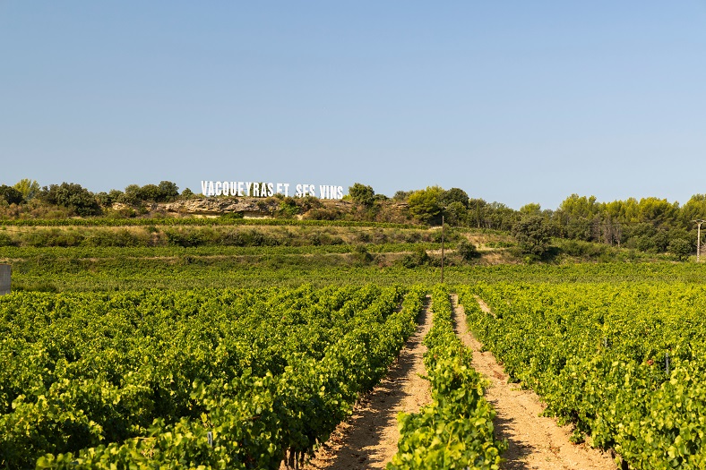 Vacqueyras et Gigondas, crus d’artisans en pleine ascension iDealwine rhone sud